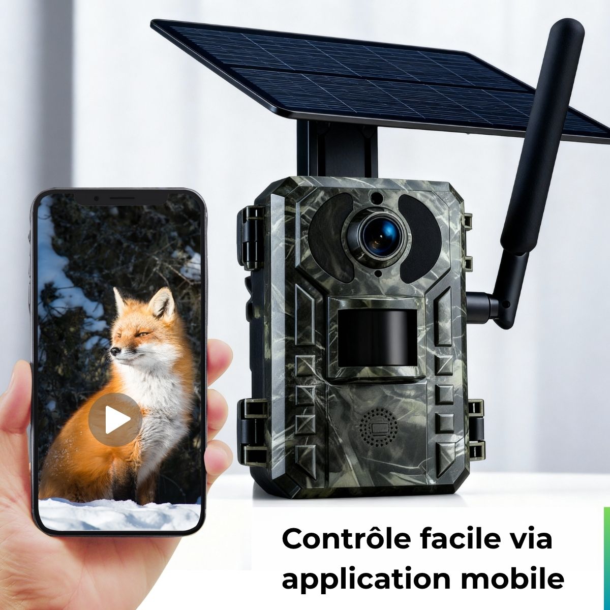 Caméra de chasse Solaire 4G+-Novatechsun